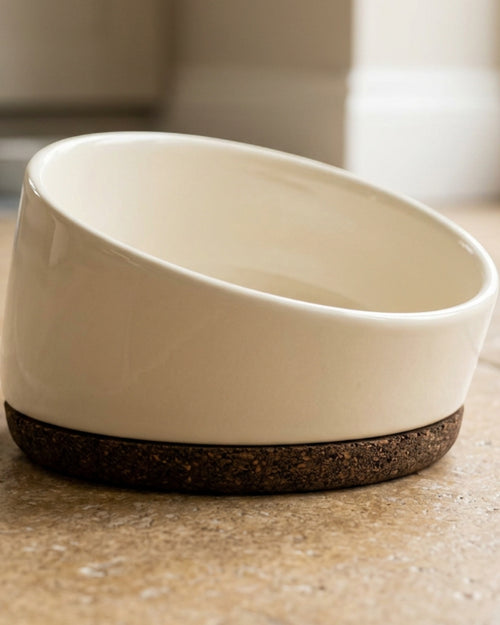 Hjxwd Tilted Ceramic Pet Bowl with Cork Base 18 oz Cream - Lifestyle view